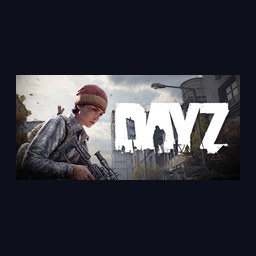 آیکون رسمی DayZ